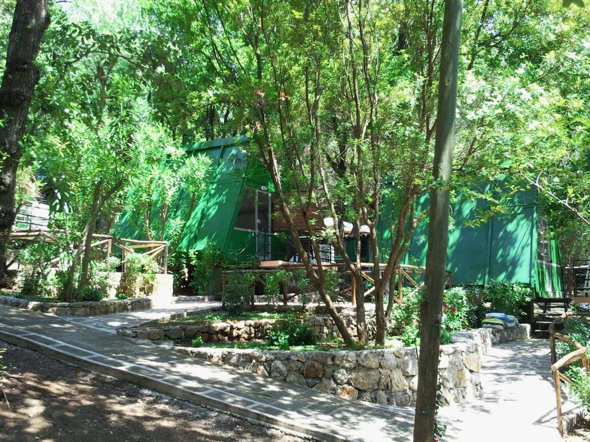 La Francesca Sud Un Villaggio"Glamping" 차리오 외부 사진