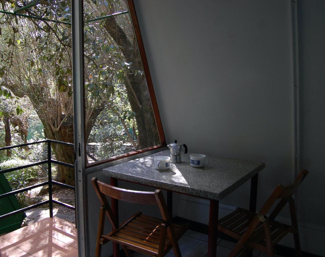 La Francesca Sud Un Villaggio"Glamping" 차리오 외부 사진